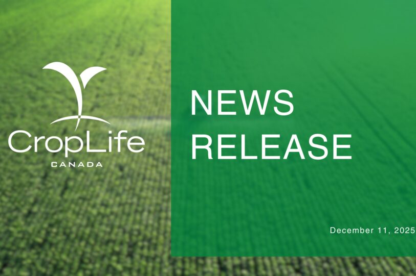 Green Modern Sustainable Development Goals Progress Report Presentation