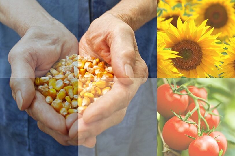 Screenshot 2025 08 07 085130