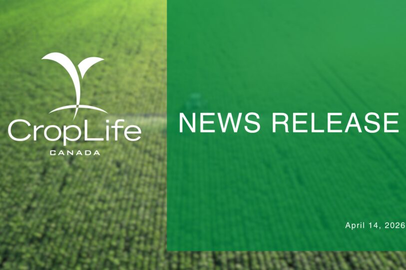 Green Modern Sustainable Development Goals Progress Report Presentation 3