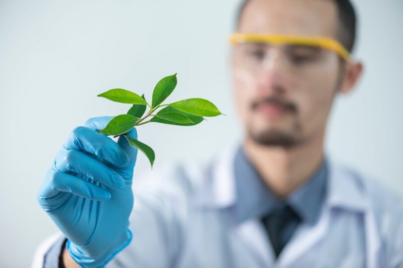 Scienctist holding plant